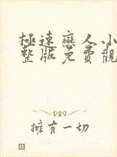 极速恋人小说完整版免费观看