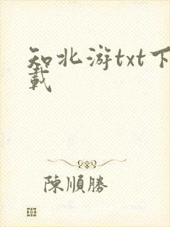 知北游txt下载