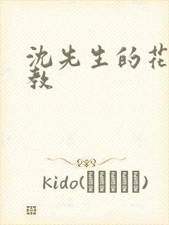 沈先生的花式调教