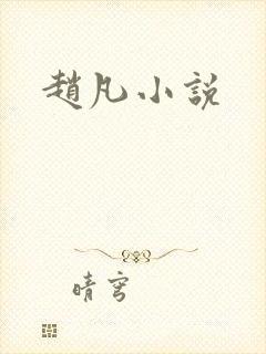 赵凡小说