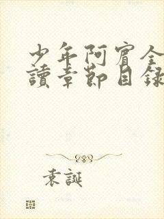 少年阿宾全文阅读章节目录