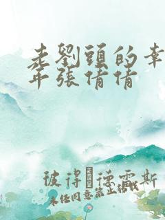 老刘头的幸福晚年张倩倩