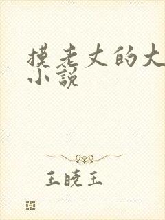 摸老丈的大牛子小说