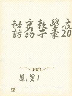 秘密教学夜晚到访的子豪20话