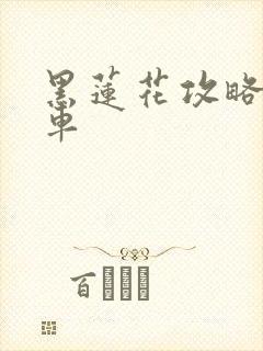 黑莲花攻略手册车