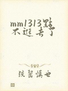 mm1313点不进去了
