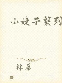 小婕子系列小说