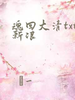 魂回大清txt新浪