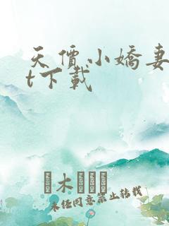 天价小娇妻txt下载