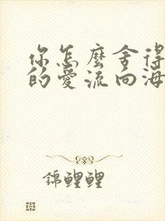 你怎么舍得让我的爱流向海