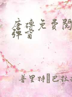 唐砖免费阅读无弹窗