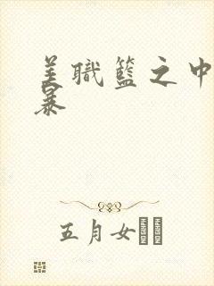 美职篮之中国风暴