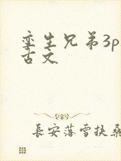 孪生兄弟3ph古文