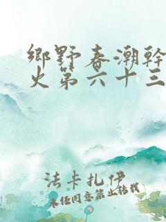 乡野春潮干柴烈火第六十三章