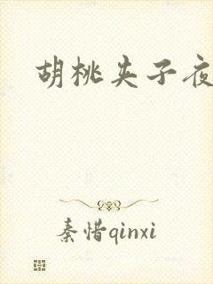 胡桃夹子夜未眠