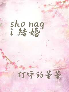 sho nagi 结婚