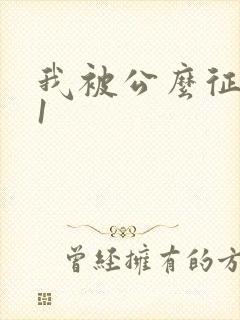 我被公么征服了1