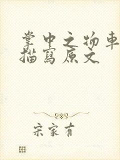 掌中之物车里震描写原文