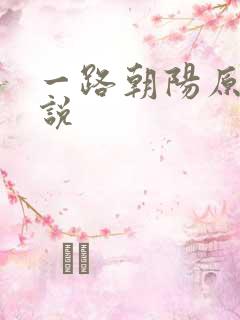 一路朝阳原著小说