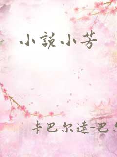 小说小芳