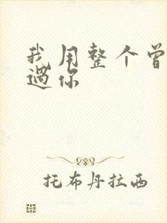 我用整个曾经爱过你