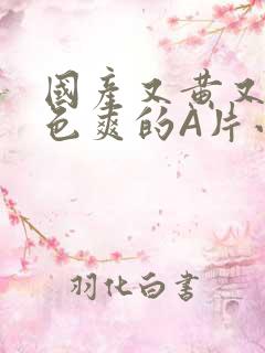 国产又黄又大又色爽的A片小说