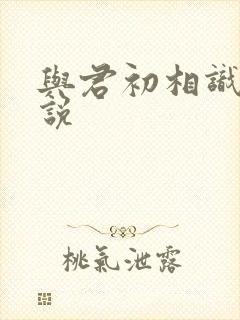 与君初相识 小说