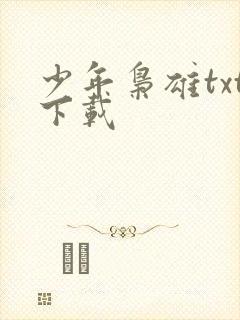 少年枭雄txt下载