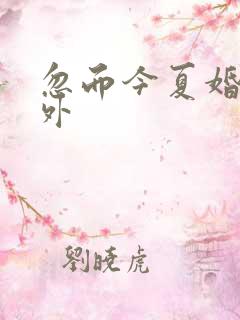 忽而今夏婚后番外