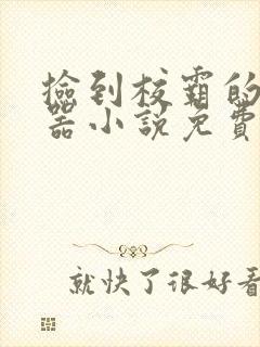 捡到校霸的遥控器小说免费阅读无弹窗