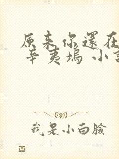 原来你还在这里 辛夷坞 小说