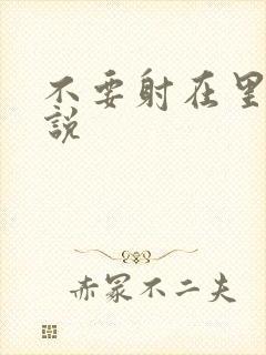 不要射在里面小说