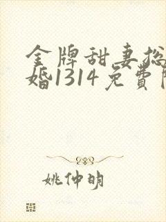 金牌甜妻总裁宠婚1314免费阅读