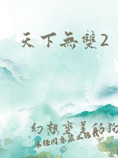 天下无双2