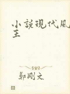 小说现代风流霸主