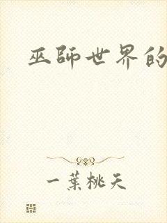 巫师世界的法师