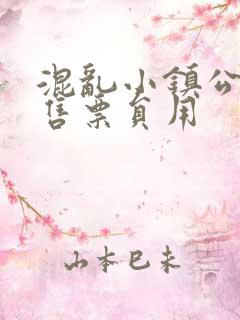 混乱小镇公交车售票员用