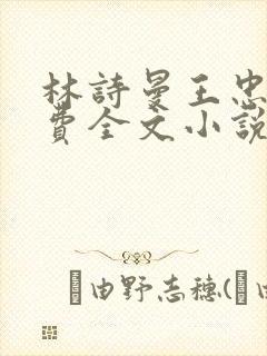 林诗曼王忠文免费全文小说的名称