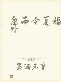 忽而今夏婚后番外