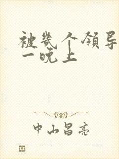 被几个领导玩弄一晚上