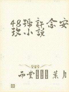 48号许念安穆玫小说