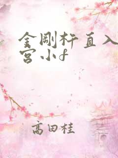 金刚杵直入莲花宫小f