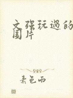 文强玩过的女人图片