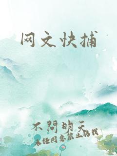 网文快捕