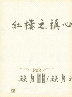 红楼之禛心锁玉