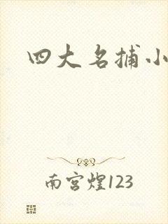 四大名捕小说