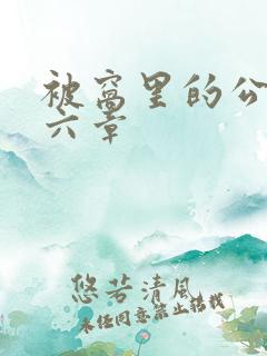 被窝里的公息十六章