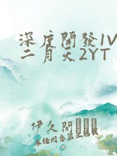深度开发1V3二月天2YT
