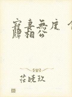 宠妻无度  金牌相公