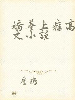 娇养上瘾高H爽文小说